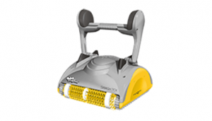 Dolphin Domestic 31 1235