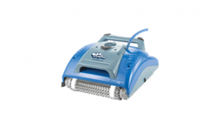 Dolphin Domestic 32 216 1