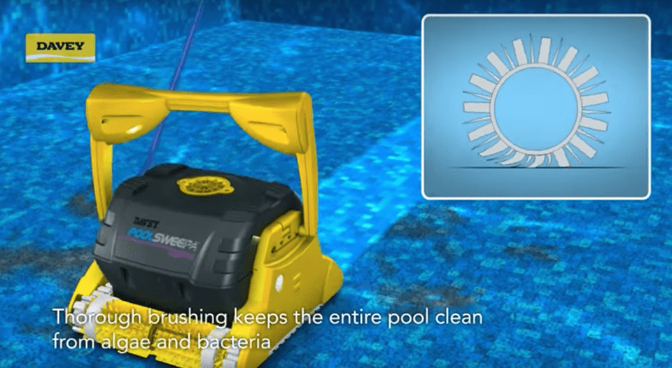 Models We Repair 2 Pool Clean from algae and bacteria