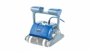 Dolphin Domestic 40 502