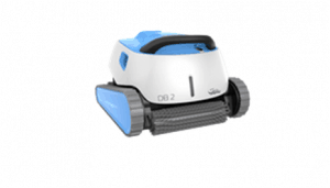 Dolphin Domestic 49 796