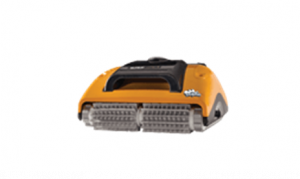 Dolphin Domestic 20 Dolphin W2099996901-AU