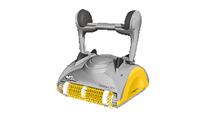 9 - Dolphin Swash Tcx99996059